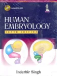 human-embryology-original-imafy6zgeukb7tfk